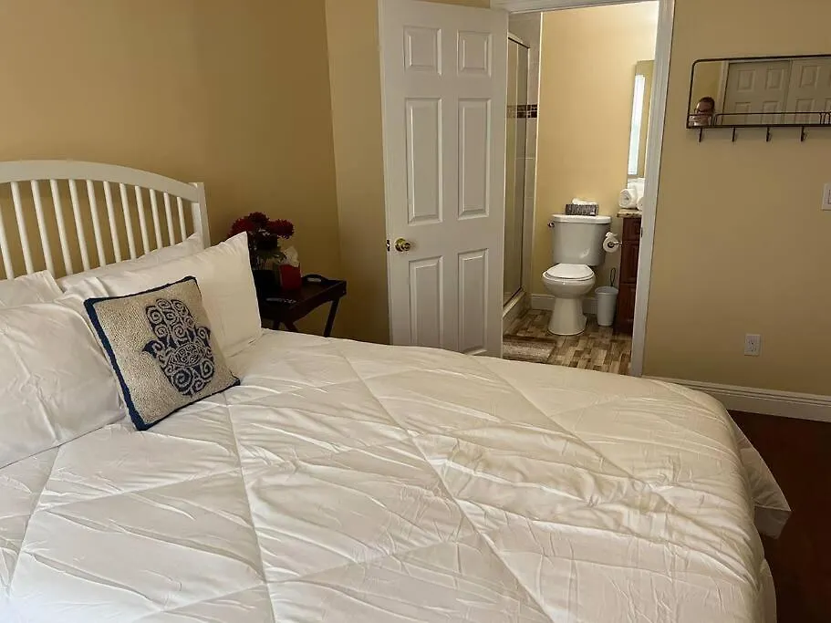 4- Bedroom Bucs House In The Heart Of Tampa Bay United States